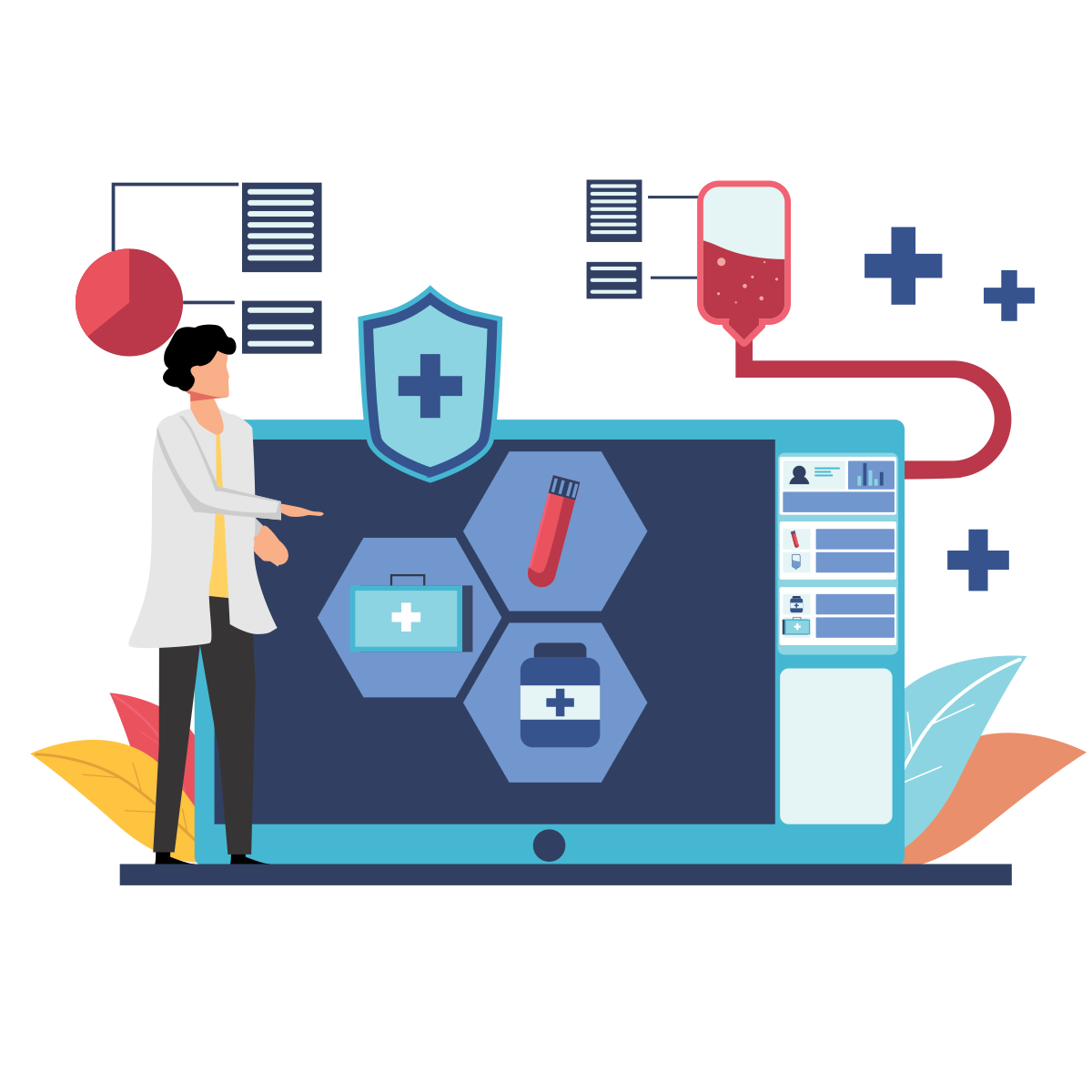 We provide IT services in the Medicals and Hospitals